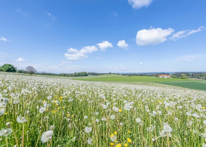 Luisalle 4 Apartman Auffach