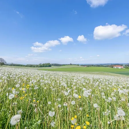 Luisalle 4 아파트 아우파흐