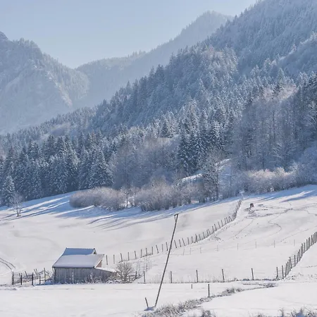 아파트 Luisalle 4 *