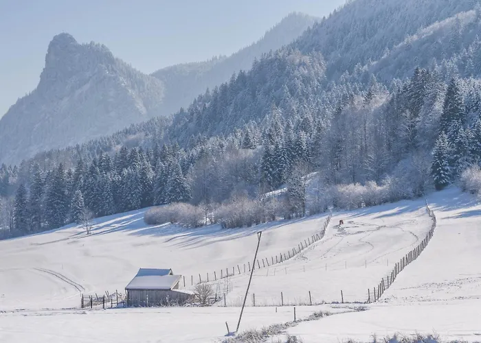 アパート Luisalle 4 *